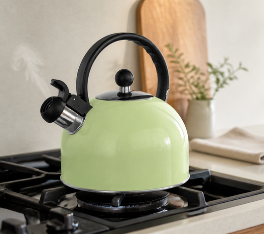 Stainless Steel Stovetop Kettle 2.5L