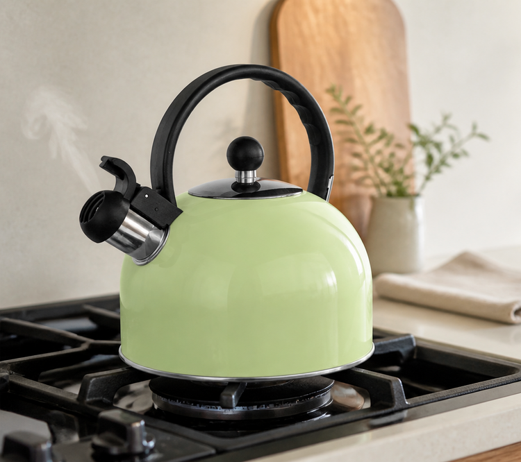 Stainless Steel Stovetop Kettle 2.5L